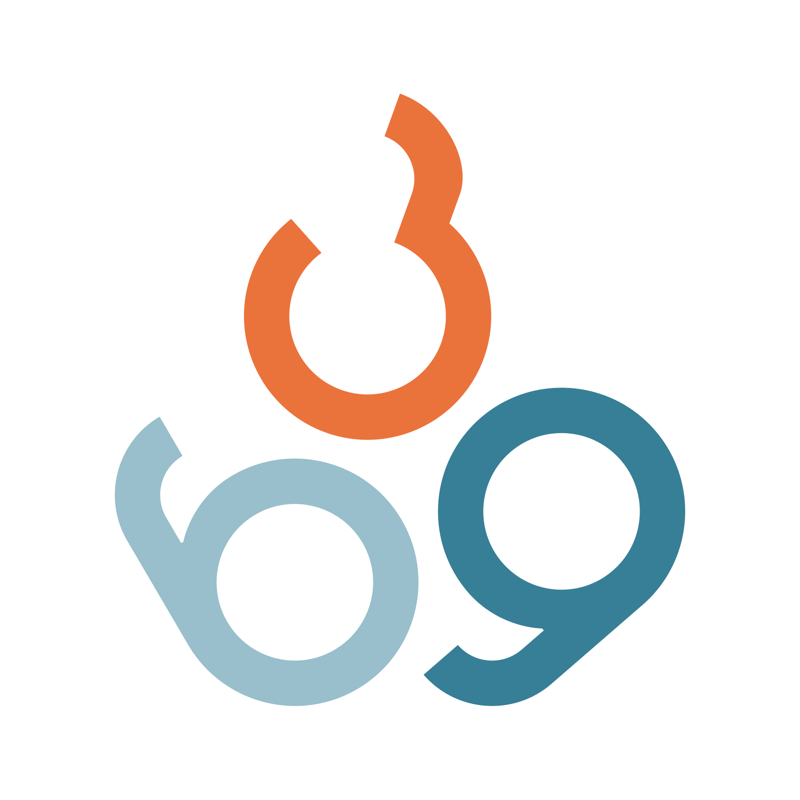 Logo 369